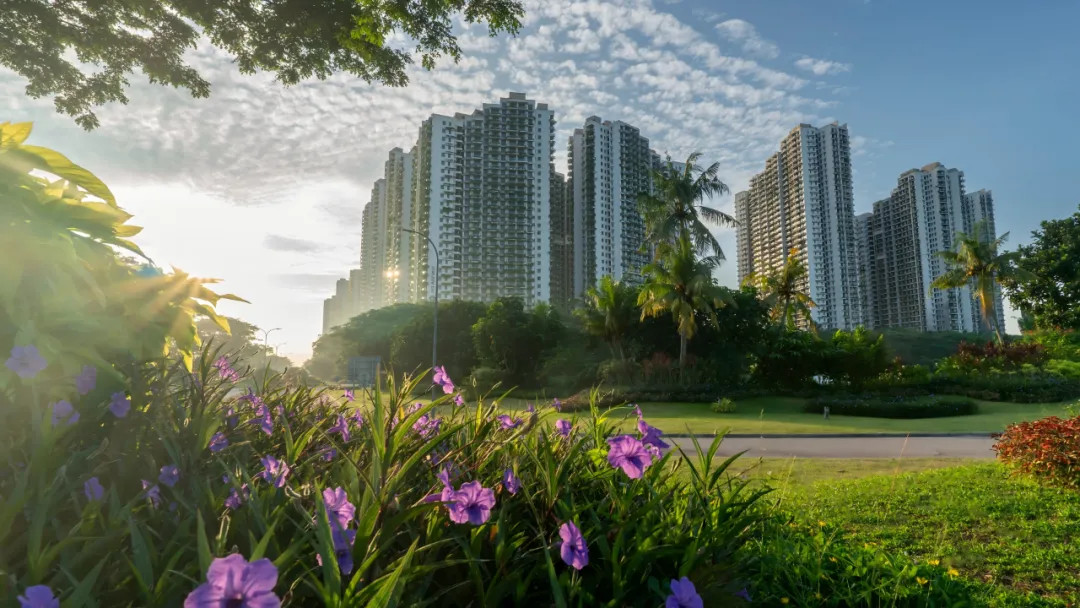 森林城市讓愛與綠意同行